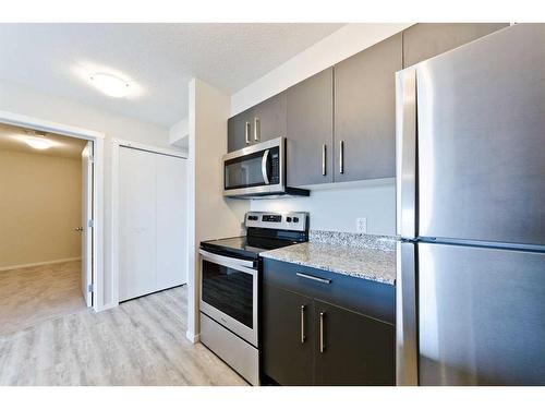 4211-4641 128 Avenue Ne, Calgary, AB - Indoor Photo Showing Kitchen With Stainless Steel Kitchen