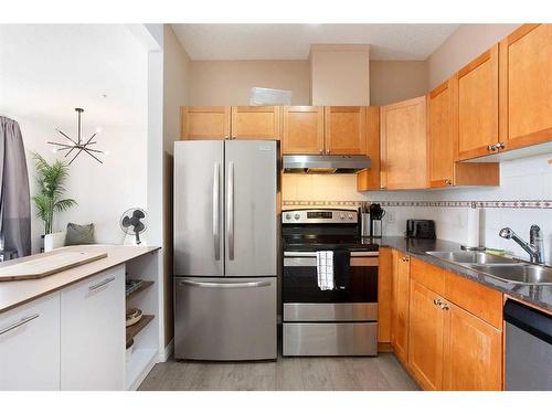 205-333 Riverfront Avenue Se, Calgary, AB - Indoor Photo Showing Kitchen With Double Sink