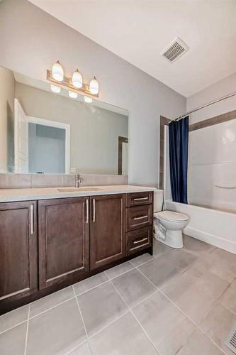 48 Savanna Grove Ne, Calgary, AB - Indoor Photo Showing Bathroom