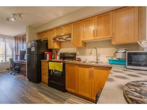 312 Saddlebrook Point Ne, Calgary, AB - Indoor Photo Showing Kitchen With Double Sink