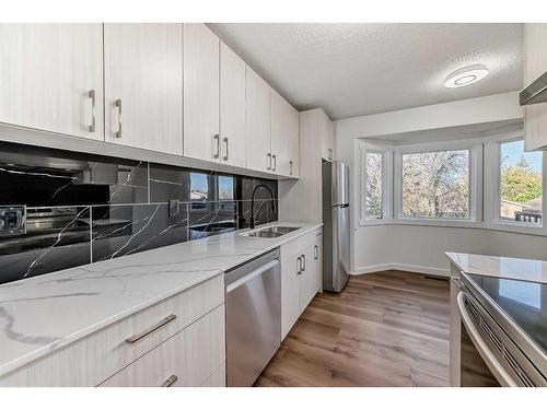 56 Bedford Circle Ne, Calgary, AB - Indoor Photo Showing Kitchen With Double Sink