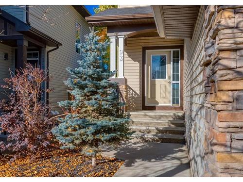 93 Brightonwoods Gardens Se, Calgary, AB - Outdoor