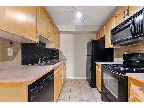 1108-13045 6 Street Sw, Calgary, AB - Indoor Photo Showing Kitchen With Double Sink