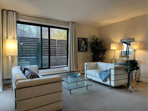 103-225 25 Avenue Sw, Calgary, AB - Indoor Photo Showing Living Room