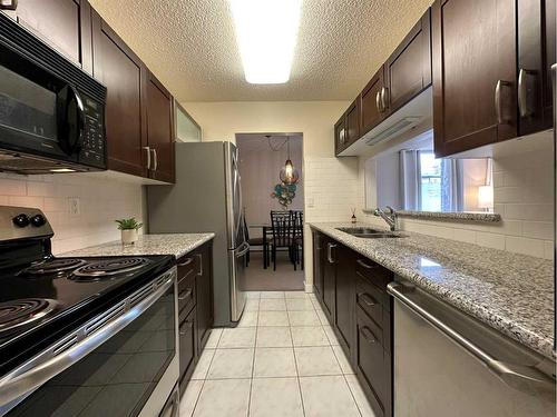 103-225 25 Avenue Sw, Calgary, AB - Indoor Photo Showing Kitchen With Double Sink With Upgraded Kitchen