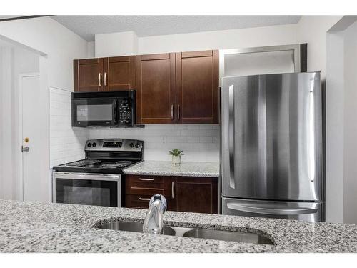 103-225 25 Avenue Sw, Calgary, AB - Indoor Photo Showing Kitchen With Double Sink With Upgraded Kitchen