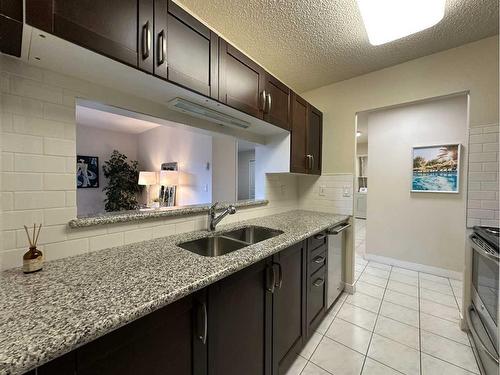 103-225 25 Avenue Sw, Calgary, AB - Indoor Photo Showing Kitchen With Double Sink