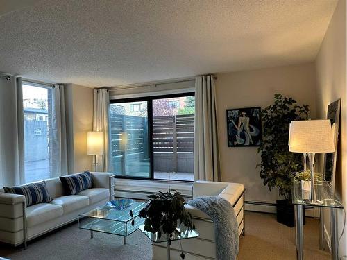 103-225 25 Avenue Sw, Calgary, AB - Indoor Photo Showing Living Room