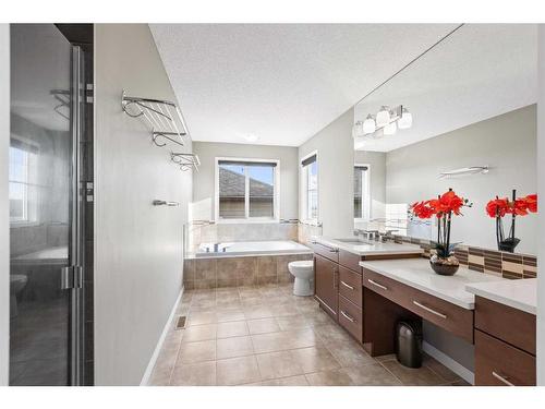 121 Cityscape Gardens Ne, Calgary, AB - Indoor Photo Showing Bathroom