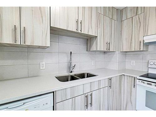 48 Dovercliffe Way Se, Calgary, AB - Indoor Photo Showing Kitchen With Double Sink