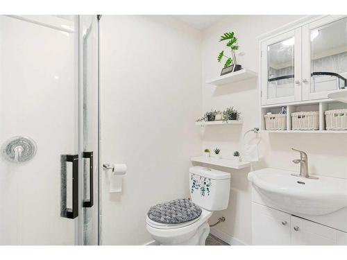 23 Martinwood Way Ne, Calgary, AB - Indoor Photo Showing Bathroom