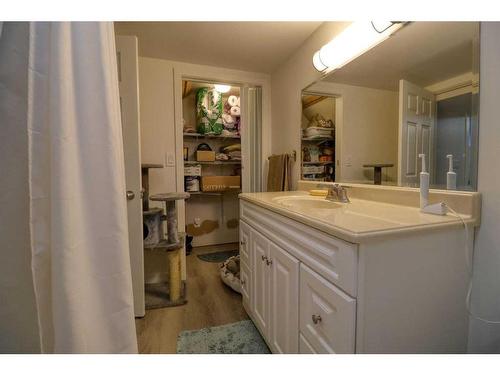 427 Trafford Drive Nw, Calgary, AB - Indoor Photo Showing Bathroom