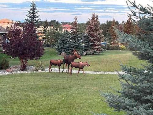 27 Corral View, Rural Rocky View County, AB - Outdoor With View