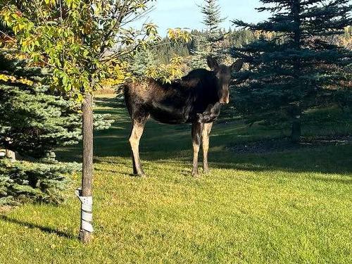 27 Corral View, Rural Rocky View County, AB - Outdoor With View