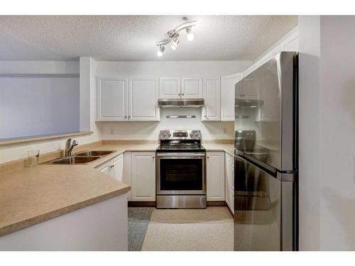 117-3000 Citadel Meadow Point Nw, Calgary, AB - Indoor Photo Showing Kitchen With Double Sink