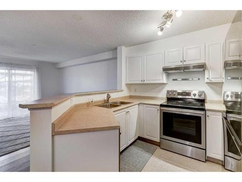 117-3000 Citadel Meadow Point Nw, Calgary, AB - Indoor Photo Showing Kitchen With Double Sink