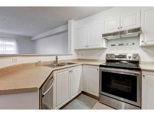 117-3000 Citadel Meadow Point Nw, Calgary, AB - Indoor Photo Showing Kitchen With Double Sink