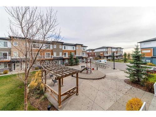 27-111 Rainbow Falls Gate, Chestermere, AB - Outdoor