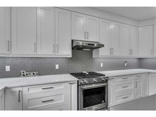 205 Kinniburgh Cove, Chestermere, AB - Indoor Photo Showing Kitchen With Upgraded Kitchen