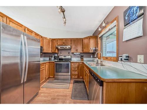 15 Carmel Close Ne, Calgary, AB - Indoor Photo Showing Kitchen With Stainless Steel Kitchen With Double Sink