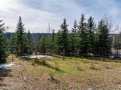 3-5242 Twp Road 290, Rural Mountain View County, AB - Outdoor With View