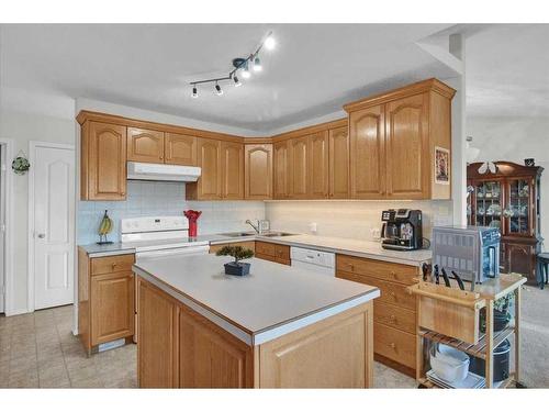 212 3Rd Avenue East, Hussar, AB - Indoor Photo Showing Kitchen With Double Sink