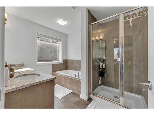 57 Saddlestone Green Ne, Calgary, AB - Indoor Photo Showing Bathroom