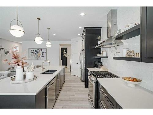 142 Seton Gardens Se, Calgary, AB - Indoor Photo Showing Kitchen With Double Sink With Upgraded Kitchen