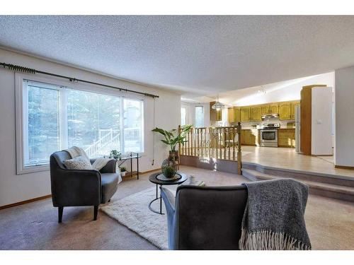 13 Mt Robson Close Se, Calgary, AB - Indoor Photo Showing Living Room