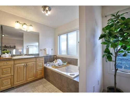 13 Mt Robson Close Se, Calgary, AB - Indoor Photo Showing Bathroom