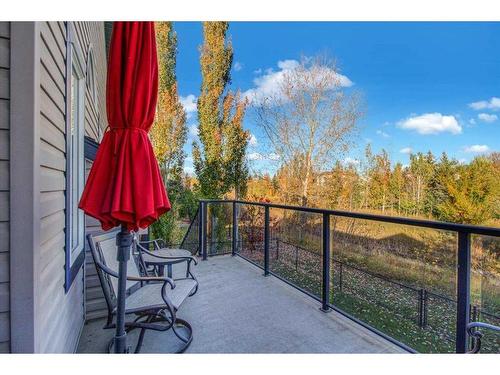 209 West Creek Springs, Chestermere, AB - Outdoor