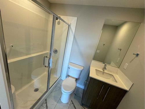 4209-111 Wolf Creek Drive Se, Calgary, AB - Indoor Photo Showing Bathroom