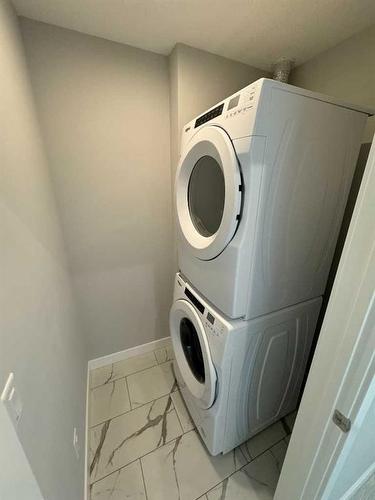 4209-111 Wolf Creek Drive Se, Calgary, AB - Indoor Photo Showing Laundry Room