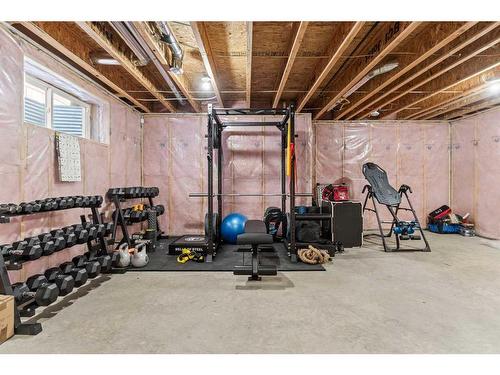 305 Evanspark Gardens Nw, Calgary, AB - Indoor Photo Showing Basement