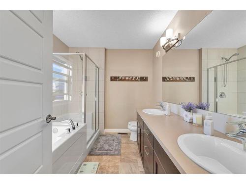 333 Clydesdale Way, Cochrane, AB - Indoor Photo Showing Bathroom