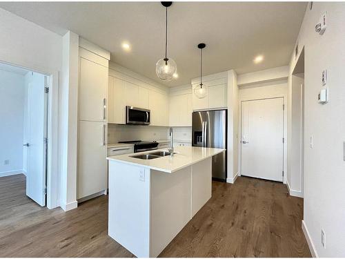 4407-111 Wolf Creek Drive Se, Calgary, AB - Indoor Photo Showing Kitchen With Double Sink