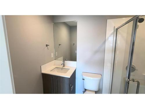 4213-111 Wolf Creek Drive Se, Calgary, AB - Indoor Photo Showing Bathroom