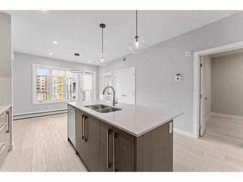 3206-60 Skyview Ranch Road Ne, Calgary, AB - Indoor Photo Showing Kitchen With Double Sink