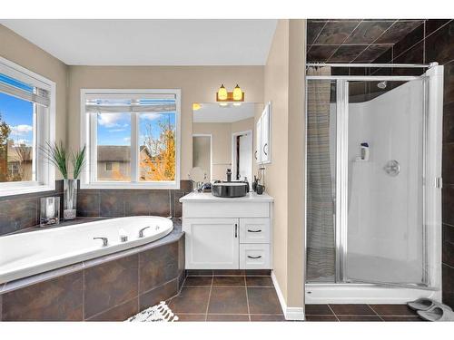 6 Copperstone Close Se, Calgary, AB - Indoor Photo Showing Bathroom