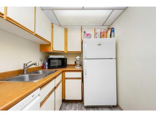 305-333 Garry Crescent Ne, Calgary, AB - Indoor Photo Showing Kitchen With Double Sink