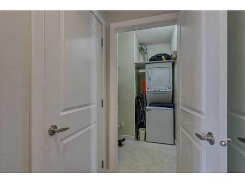 206-1800 14A Street Sw, Calgary, AB - Indoor Photo Showing Laundry Room