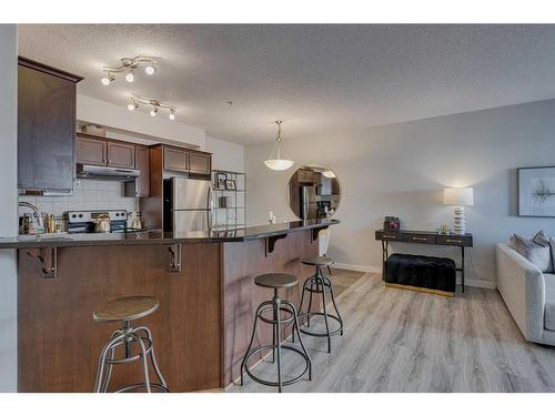 206-1800 14A Street Sw, Calgary, AB - Indoor Photo Showing Kitchen