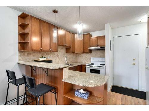 207-2130 17 Street Sw, Calgary, AB - Indoor Photo Showing Kitchen