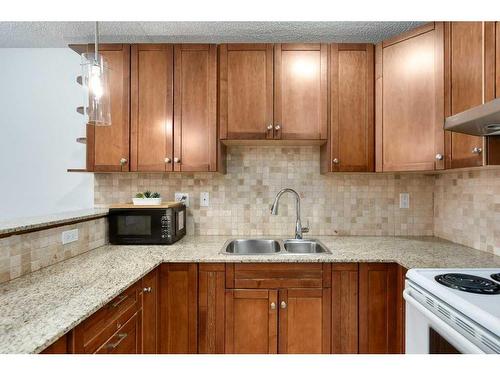 207-2130 17 Street Sw, Calgary, AB - Indoor Photo Showing Kitchen With Double Sink