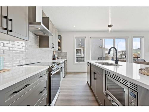 12 Belvedere Terrace Se, Calgary, AB - Indoor Photo Showing Kitchen With Double Sink With Upgraded Kitchen