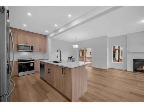 255 Baneberry Way, Airdrie, AB - Indoor Photo Showing Kitchen With Fireplace With Upgraded Kitchen