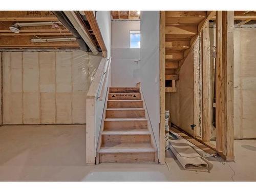 255 Baneberry Way, Airdrie, AB - Indoor Photo Showing Basement