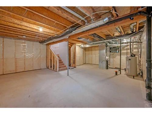 255 Baneberry Way, Airdrie, AB - Indoor Photo Showing Basement