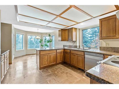 125 Shawnee Place Sw, Calgary, AB - Indoor Photo Showing Kitchen With Double Sink