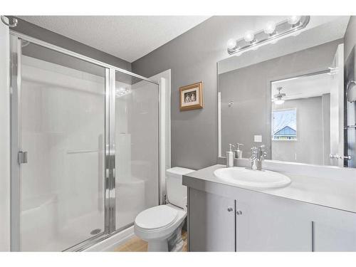 236 Copperstone Cove Se, Calgary, AB - Indoor Photo Showing Bathroom